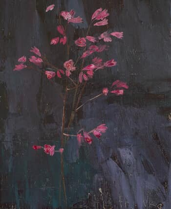 Heuchera von Glib Franko