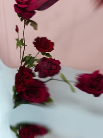 ENGLISH ROSES XX par Andrea Zvadova