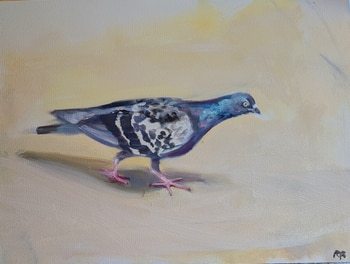 Paddington pigeon par Rosemary Burn