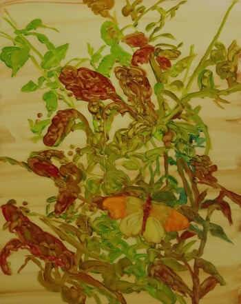 Buddleia with orange-tip butterfly par Barbara Howey