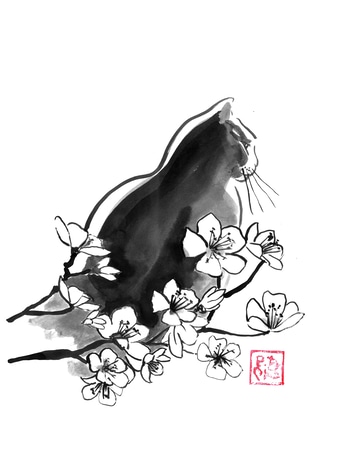 cat in the sakura by Péchane