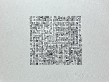 2026/36 - sans titre par Guillaume Thunis