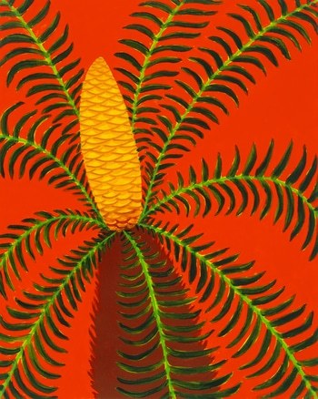 Sago Palm Flower von Michael Pfleghaar
