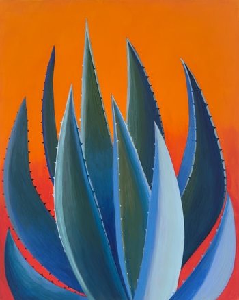 Century Plant on Scarlet von Michael Pfleghaar