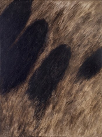 The Ground Held the Shape of Yesterday by Hanne