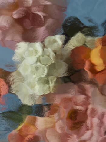 ROSES ON BLUE IV by Andrea Zvadova