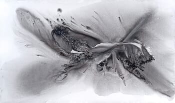 Nature 579 von Muriel Napoli