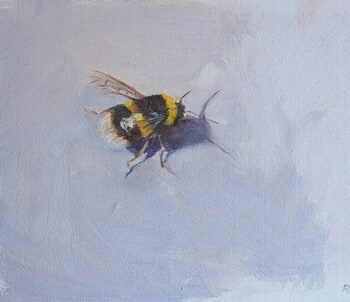 Grounded bumblebee by Rosemary Burn