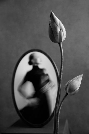 Growing Illusions - III by Xidong Luo