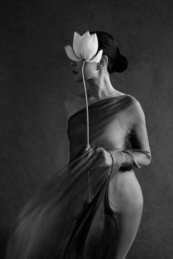 Blossom and Return - III by Xidong Luo