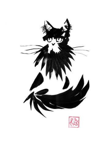 beardy cat by Péchane