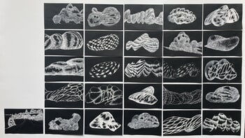 Architectural studies 01-26  par Tannaz Oroumchi