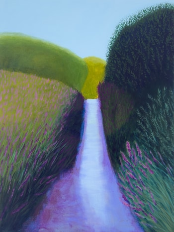 Purple Loosestrife par Michael Pfleghaar