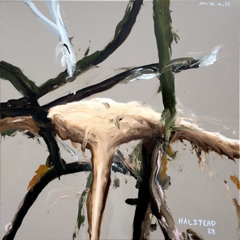 Halstead 29 von Philip Maltman