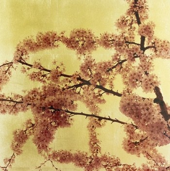 Prunus Sakura V von Robert Pereira Hind