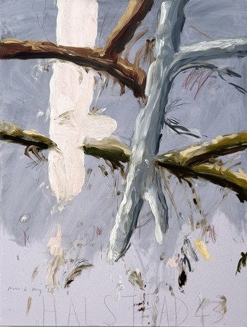 Halstead 43 by Philip Maltman