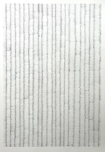 2026/54 - sans titre par Guillaume Thunis
