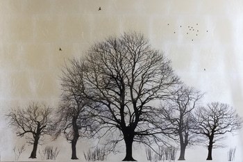 Arboretum Winter von Robert Pereira Hind
