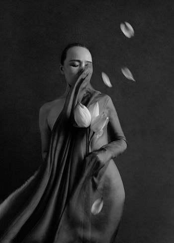 Blossom and Return - IV by Xidong Luo