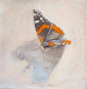 Red admiral von Rosemary Burn