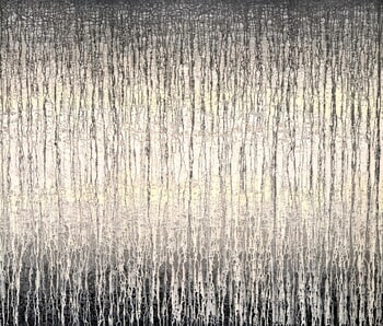 Soft Grey Veils over Sunlight von Heidi Thompson