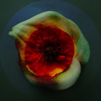 MesCoeurs-10 by Emilie Moysson