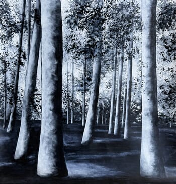 The disappearing Tree von Nadege Druzkowski