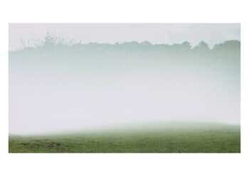 In Time I von Daniel Dunt