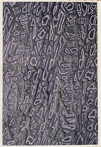 Palette 4 par Tannaz Oroumchi