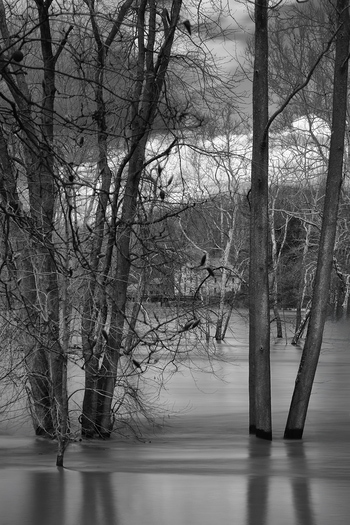 Flood Narrative Redux (La Belle Indifférence) by Geoffrey Ansel Agrons
