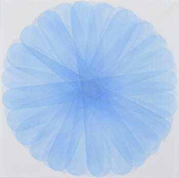 Chicory von Jitka Anlaufova