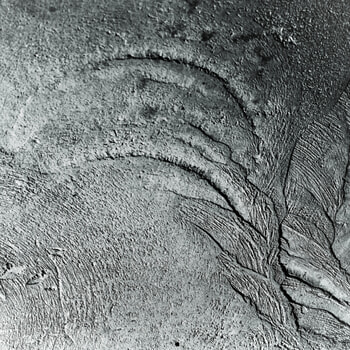 10BW Concrete Wave: alchemy / grounding and elevation by Bruno Houdayer