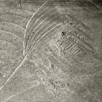 01 Concrete Wave: alchemy / grounding and elevation by Bruno Houdayer