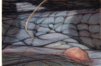 Atopic Disasters of Economy [09] by David Foord