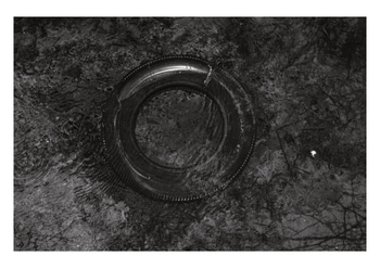 The Tyre and the Egg von Daniel Dunt