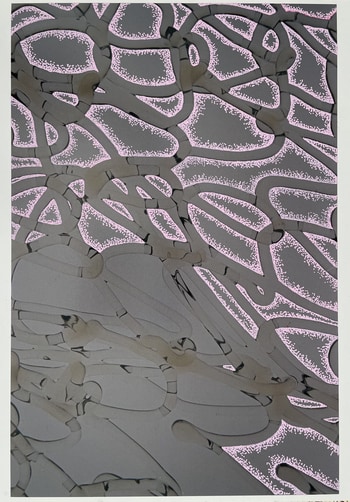Palette 8 von Tannaz Oroumchi