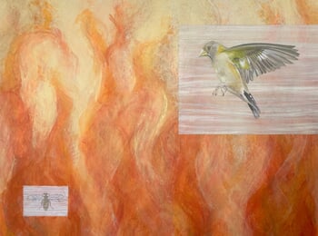 Evening Grosbeck : Playing with Fire von Sarah Goldbart