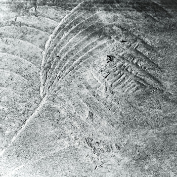 07BW Concrete Wave: alchemy / grounding and elevation von Bruno Houdayer