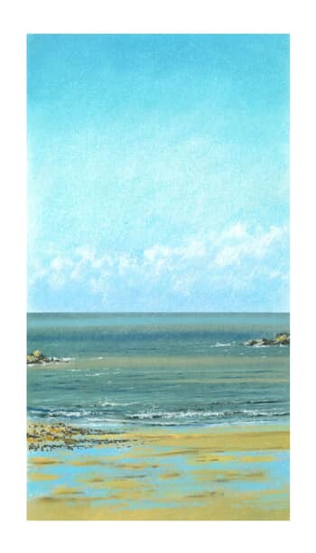 plage du sillon 28 fev 2026  12h par Eric Durant
