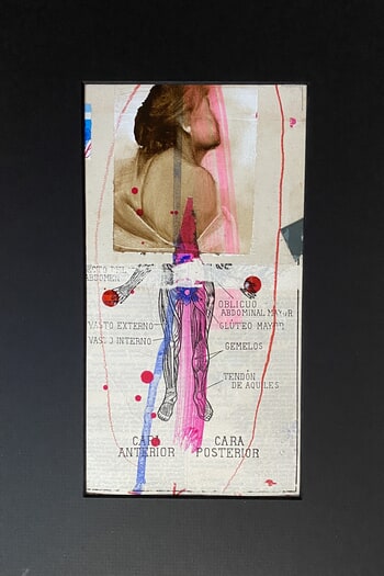 Anatomie by Nathalie Sizaret