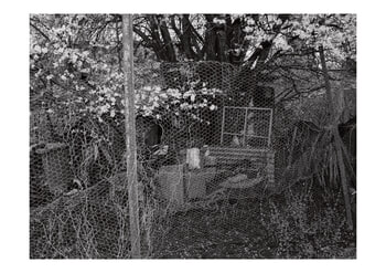 Allotment IX von Daniel Dunt