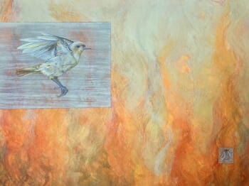 Eastern Black Redstart : Playing with Fire von Sarah Goldbart