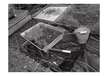 Allotment II von Daniel Dunt