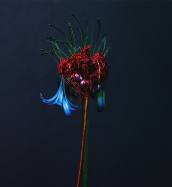 Weirdo-15 par Emilie Moysson