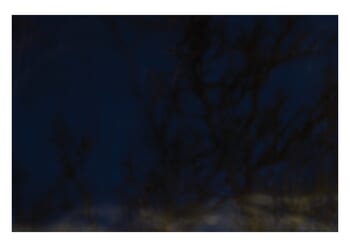 Polar Night II by Daniel Dunt