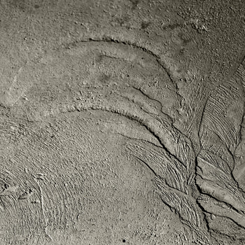 04 Concrete Wave: alchemy / grounding and elevation by Bruno Houdayer