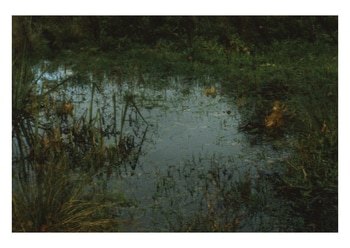 Pond von Daniel Dunt