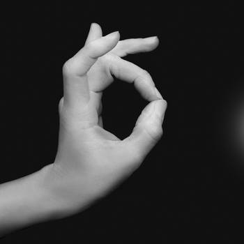 Mudra “Heart Harmonization” – purify, regulate, and soothe the heart von Bruno Houdayer