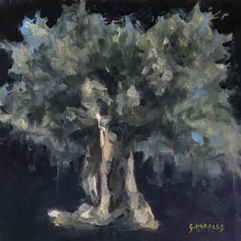 L'olivier des Pouiles by Géraldine Morales