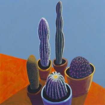 Sunlit Cactus 2 von Michael Pfleghaar